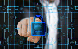 开云官网-赛事风险管理体系，体育赛事风险管理的主要内容